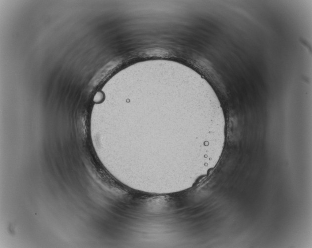 X0000102770116200809151049