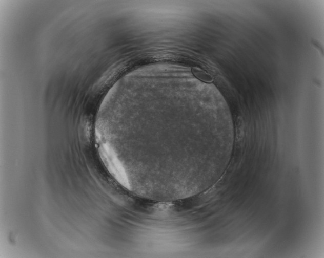 X0000102770124200809151049