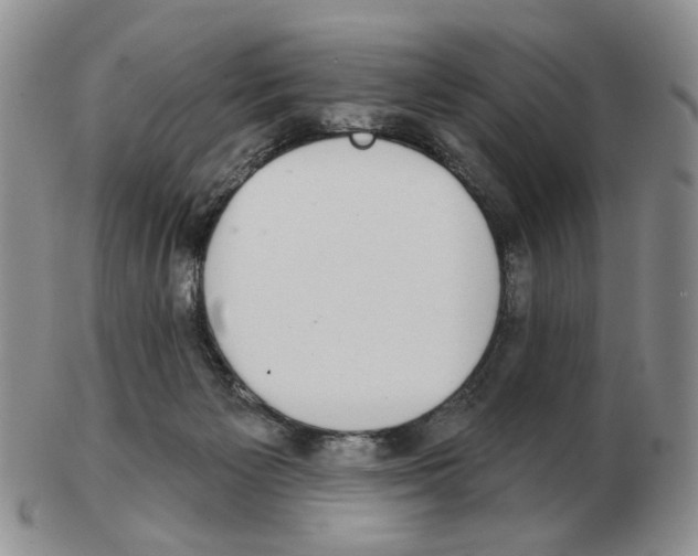 X0000102770125200809151049