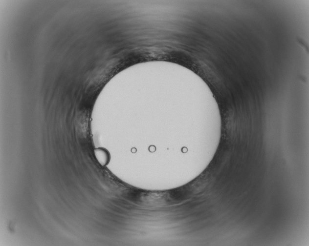 X0000102770129200809151049