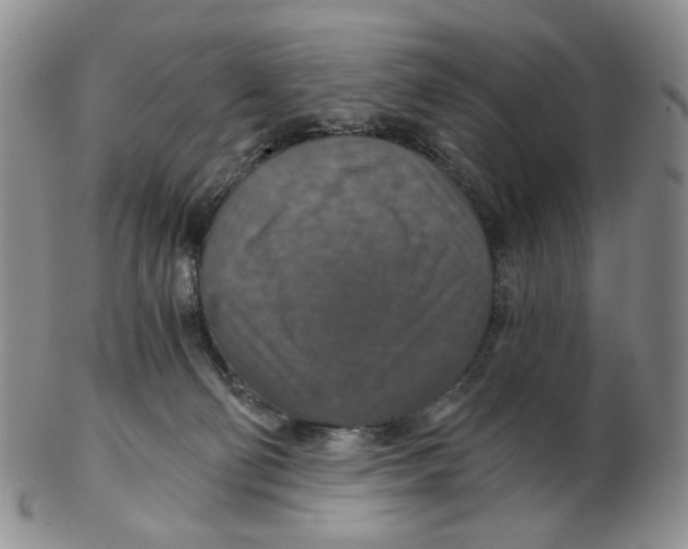 X0000102770130200809151049