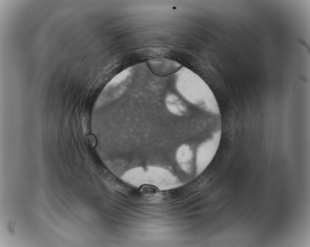 X0000102770131200809151049