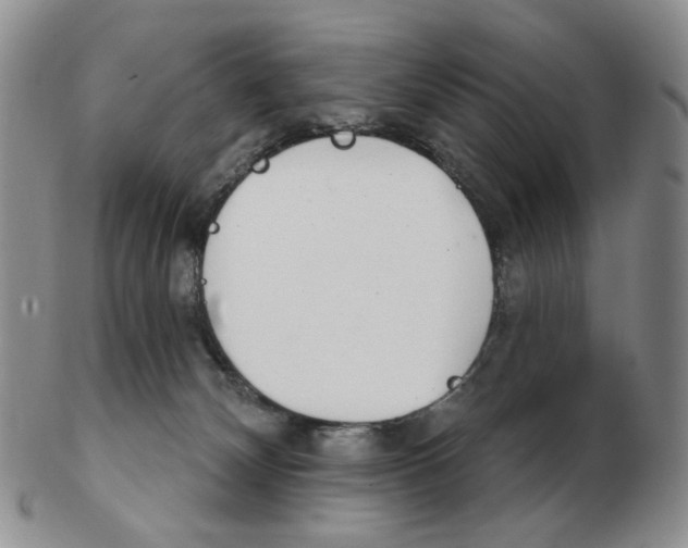 X0000102770132200809151049