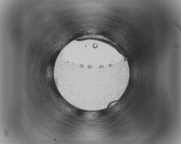 X0000102770135200809151048