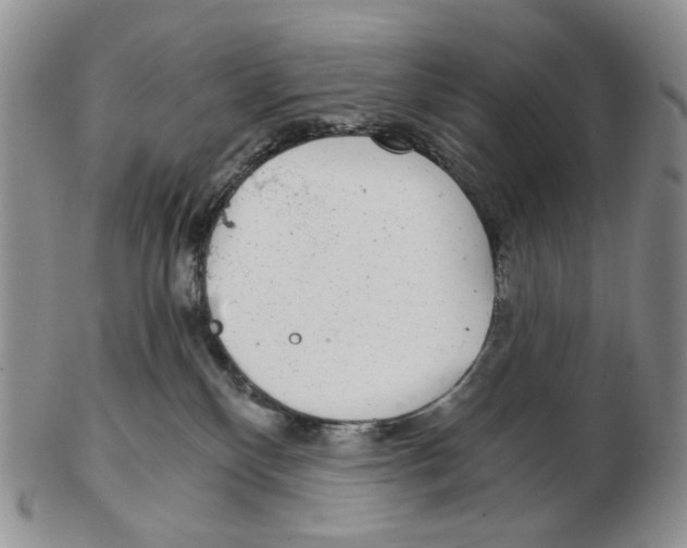 X0000102770136200809151048