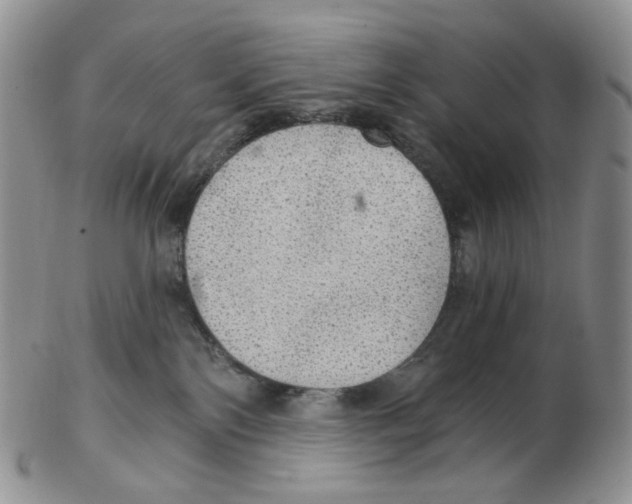 X0000102770138200809151048