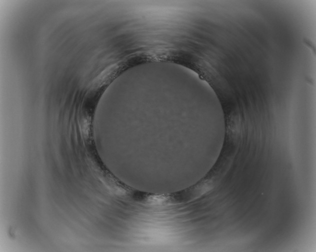 X0000102770139200809151048