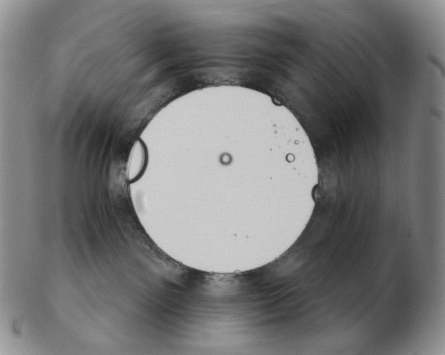 X0000102770141200809151048