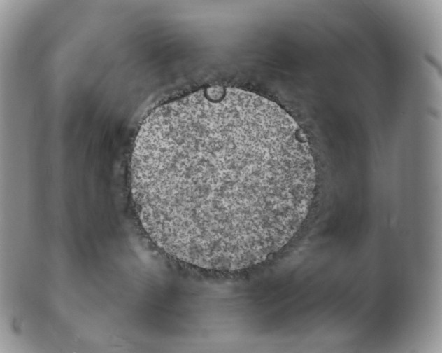 X0000102770144200809151048