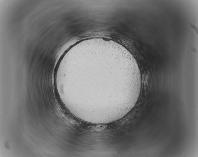 X0000102770148200809151048