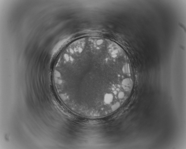 X0000102770149200809151048