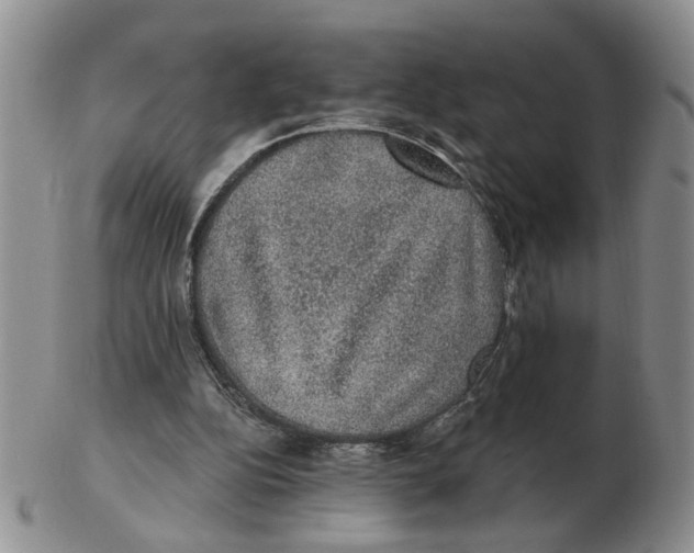 X0000102770152200809151048