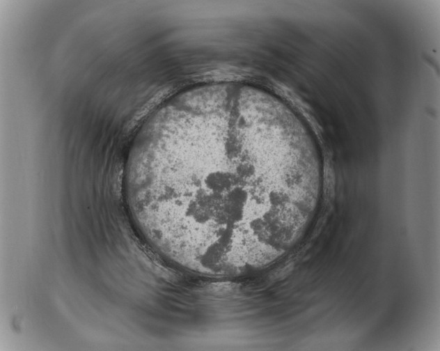 X0000102770153200809151048