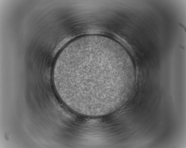 X0000102770155200809151048