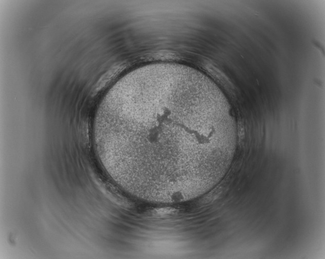 X0000102770158200809151048