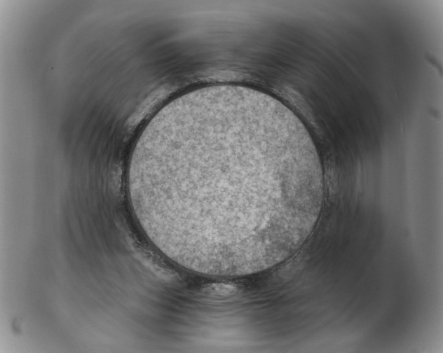 X0000102770159200809151048