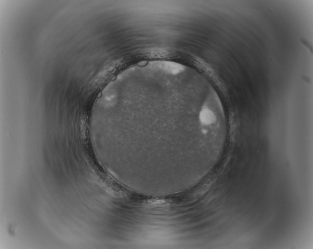 X0000102770161200809151048