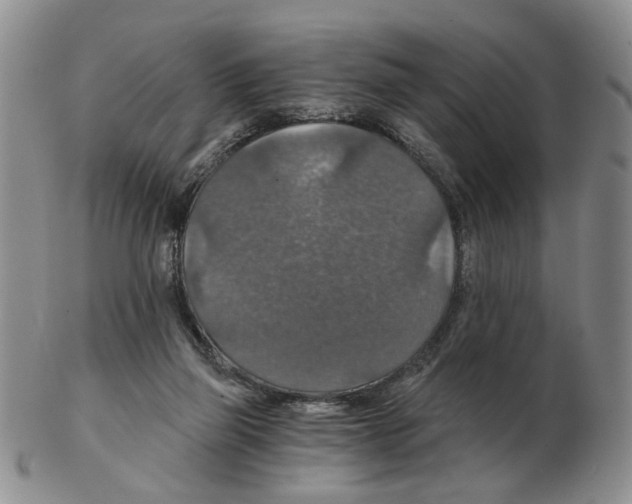 X0000102770165200809151048