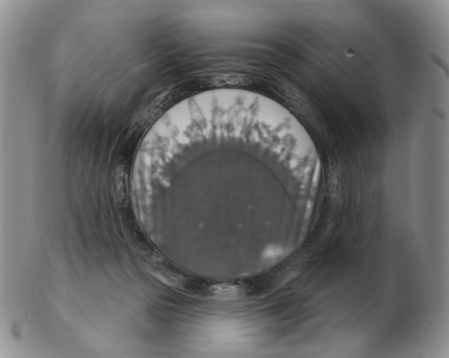 X0000102770169200809151048