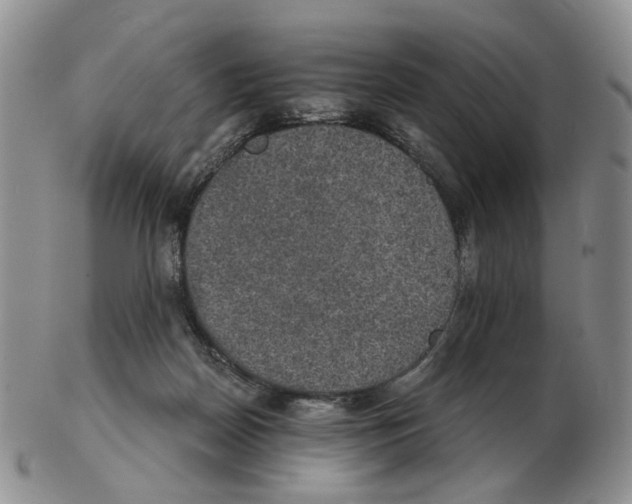 X0000102770170200809151048