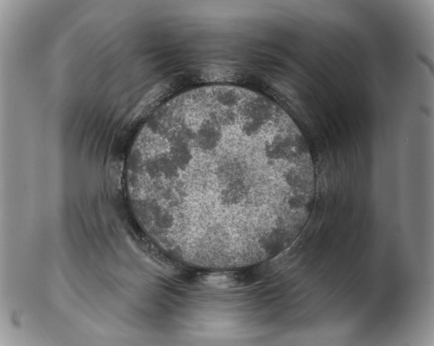 X0000102770171200809151048