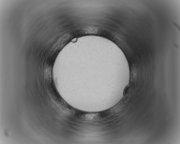 X0000102770172200809151048