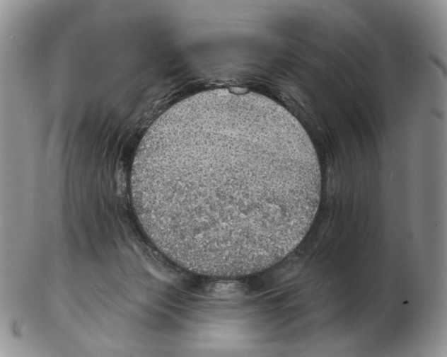 X0000102770173200809151048