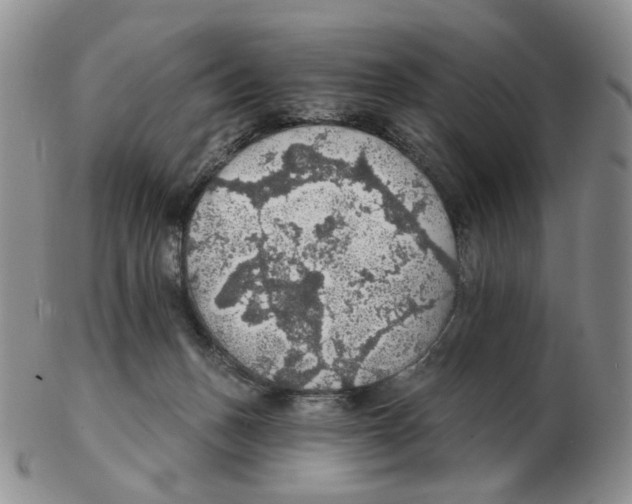 X0000102770175200809151048