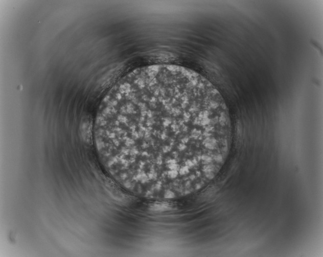 X0000102770177200809151048