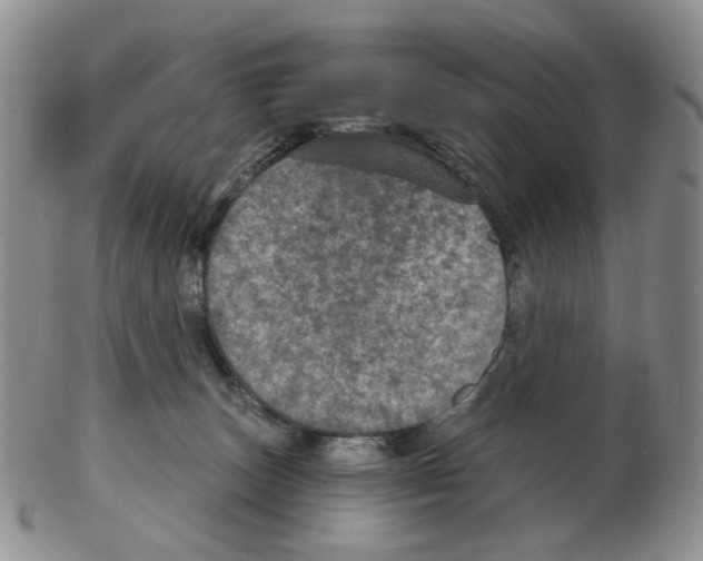 X0000102770179200809151048