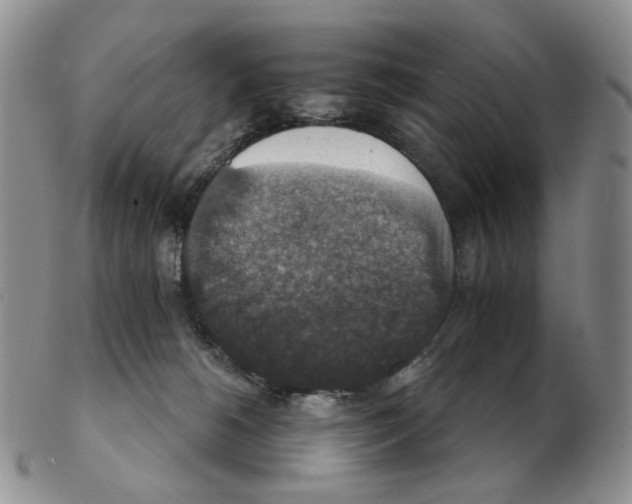 X0000102770180200809151048