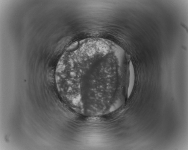 X0000102770181200809151048