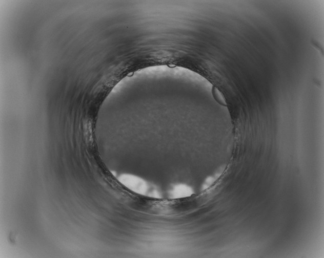 X0000102770182200809151048