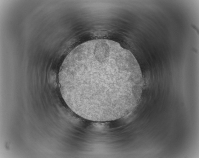 X0000102770187200809151048