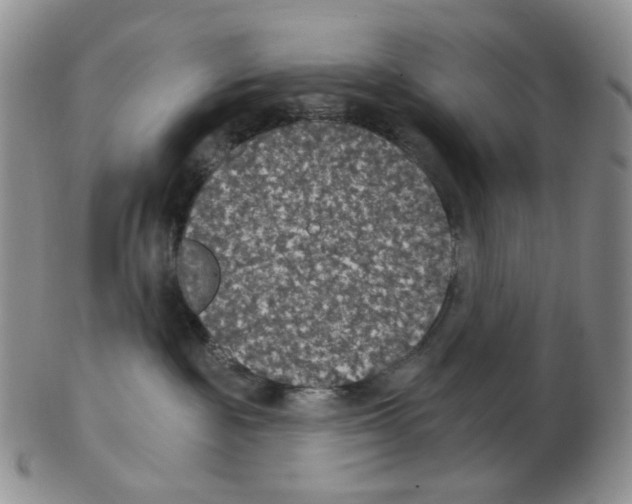 X0000102770189200809151048