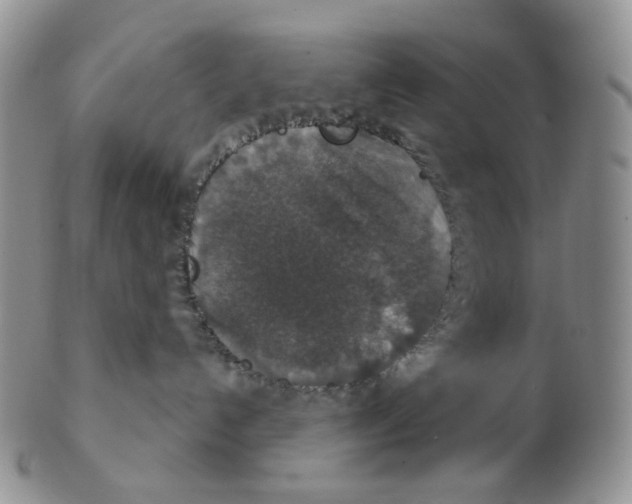 X0000102770192200809151048