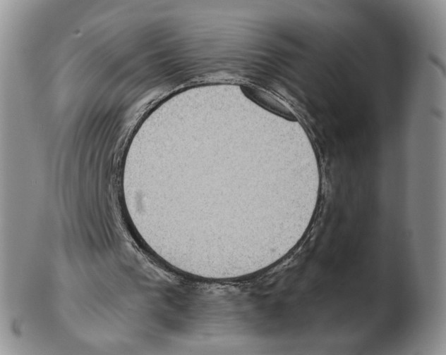 X0000102770193200809151048