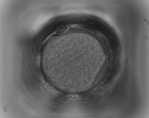 X0000102770194200809151048