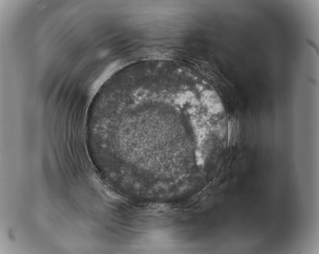 X0000102770195200809151048