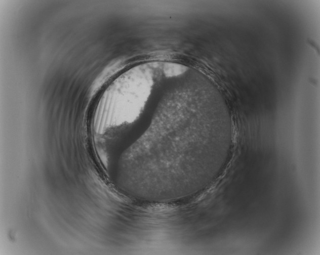 X0000102770198200809151048