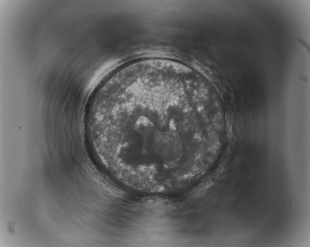 X0000102770199200809151048