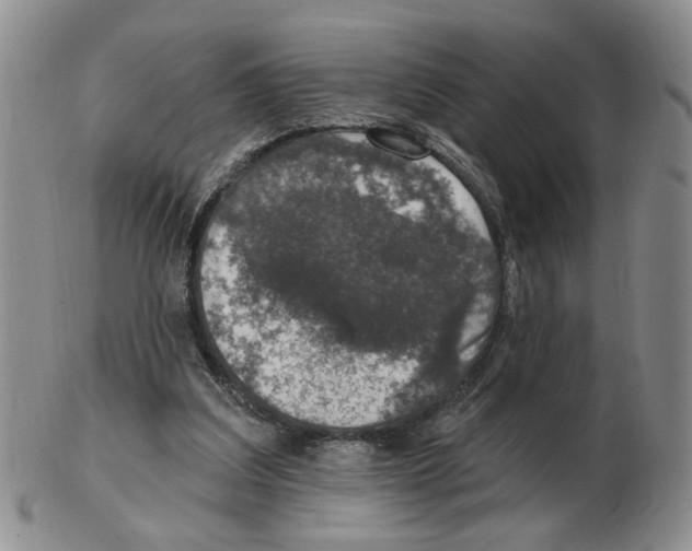 X0000102770203200809151047