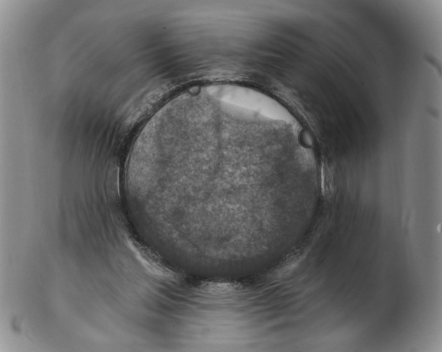 X0000102770205200809151047