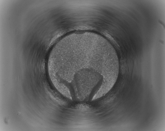 X0000102770207200809151047