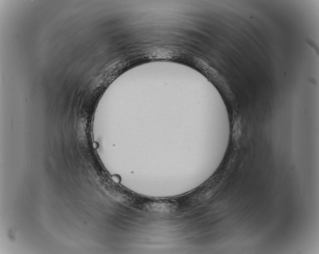 X0000102770209200809151047