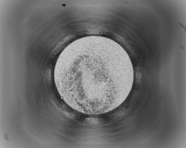 X0000102770211200809151047