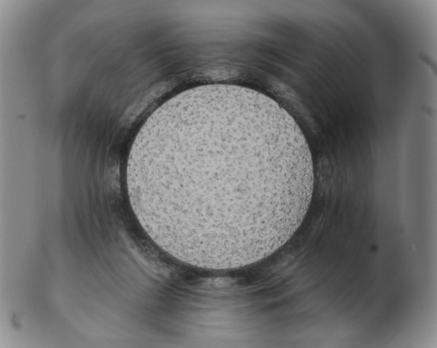 X0000102770212200809151047