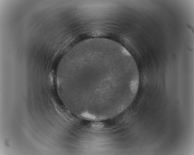 X0000102770214200809151047