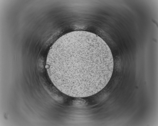 X0000102770215200809151047