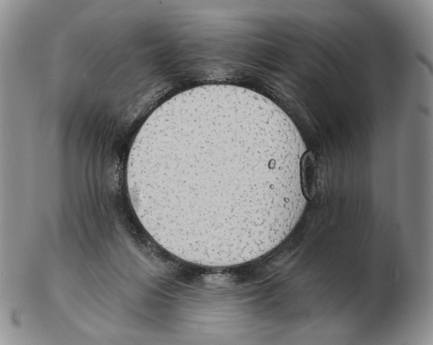 X0000102770216200809151047